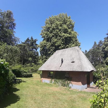 De Hooge Woeste Villa Emst Exteriör bild