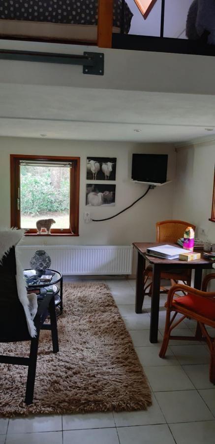 De Hooge Woeste Villa Emst Exteriör bild