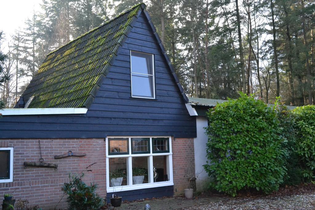 De Hooge Woeste Villa Emst Exteriör bild