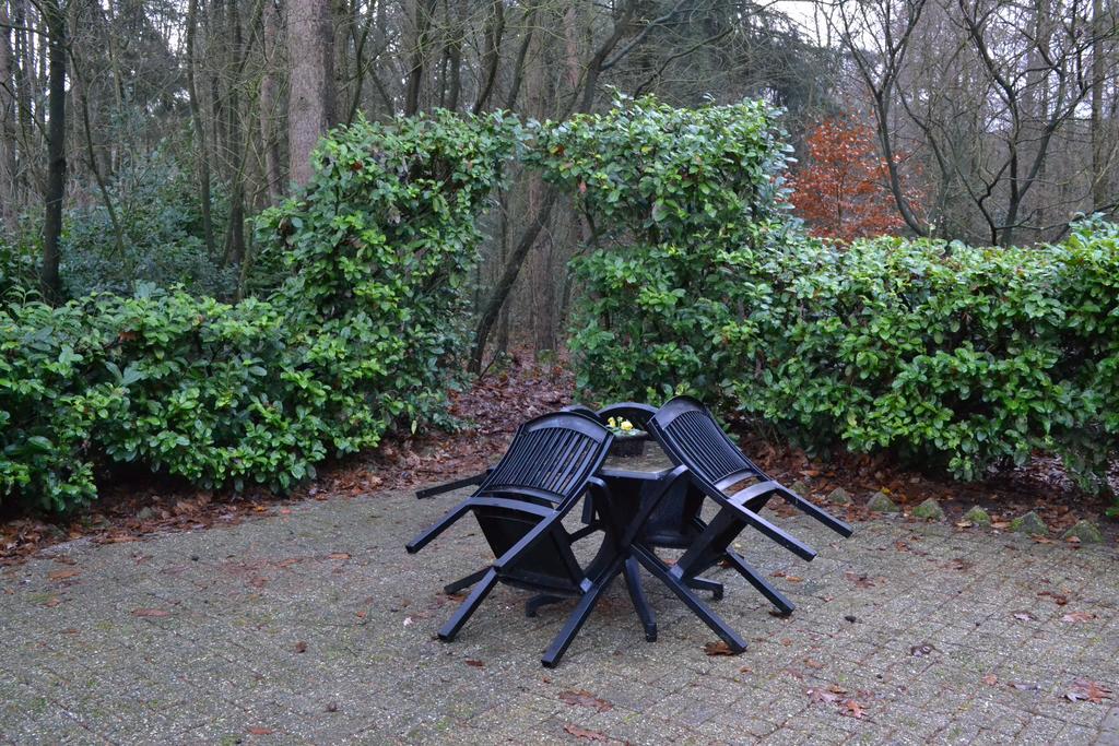 De Hooge Woeste Villa Emst Exteriör bild