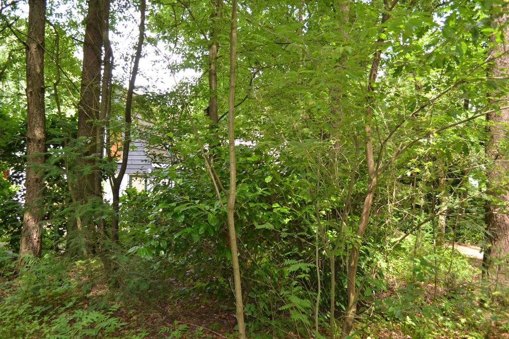 De Hooge Woeste Villa Emst Exteriör bild