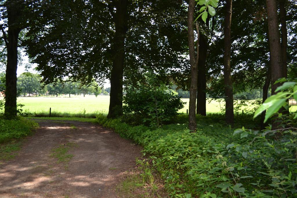 De Hooge Woeste Villa Emst Exteriör bild