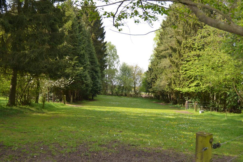 De Hooge Woeste Villa Emst Exteriör bild