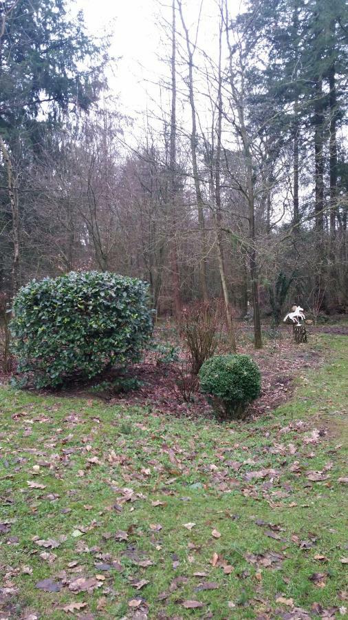 De Hooge Woeste Villa Emst Exteriör bild