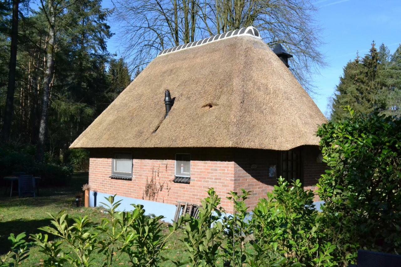 De Hooge Woeste Villa Emst Exteriör bild