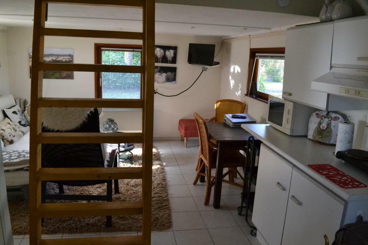 De Hooge Woeste Villa Emst Exteriör bild